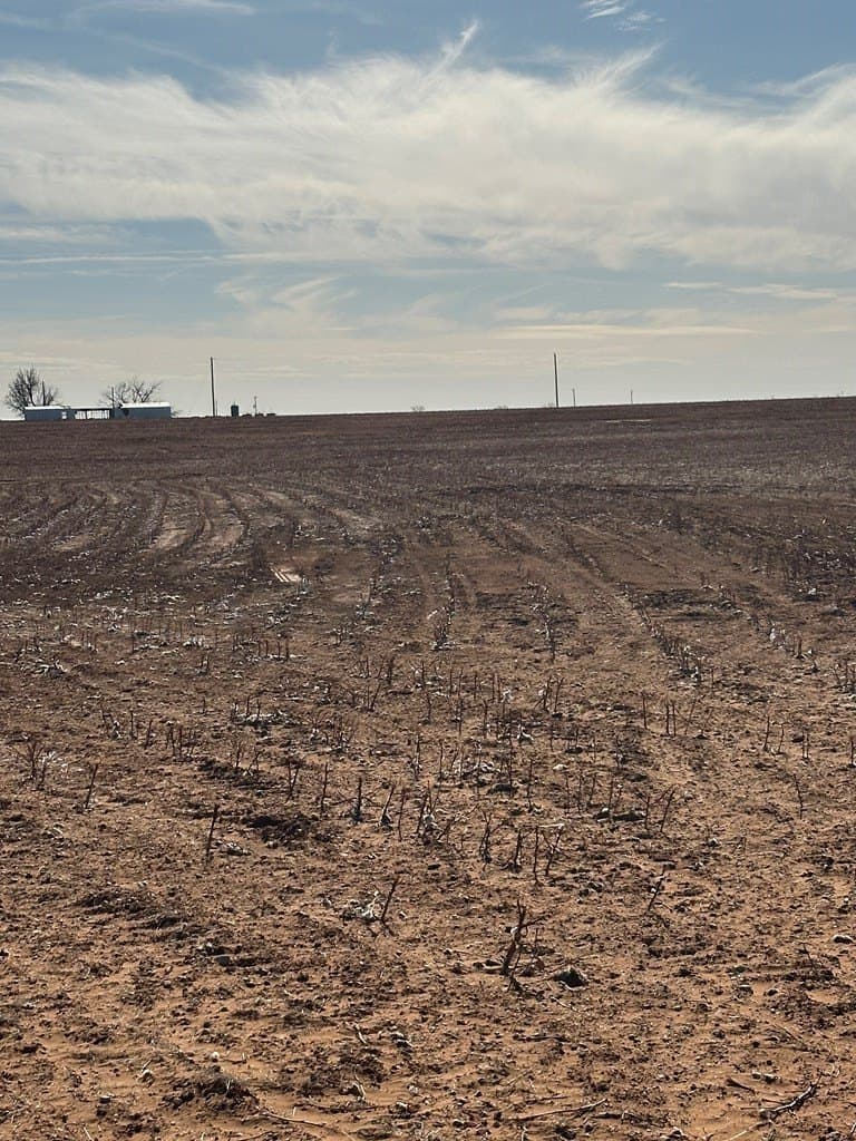 160.3 acres in Mitchell County - photo 2