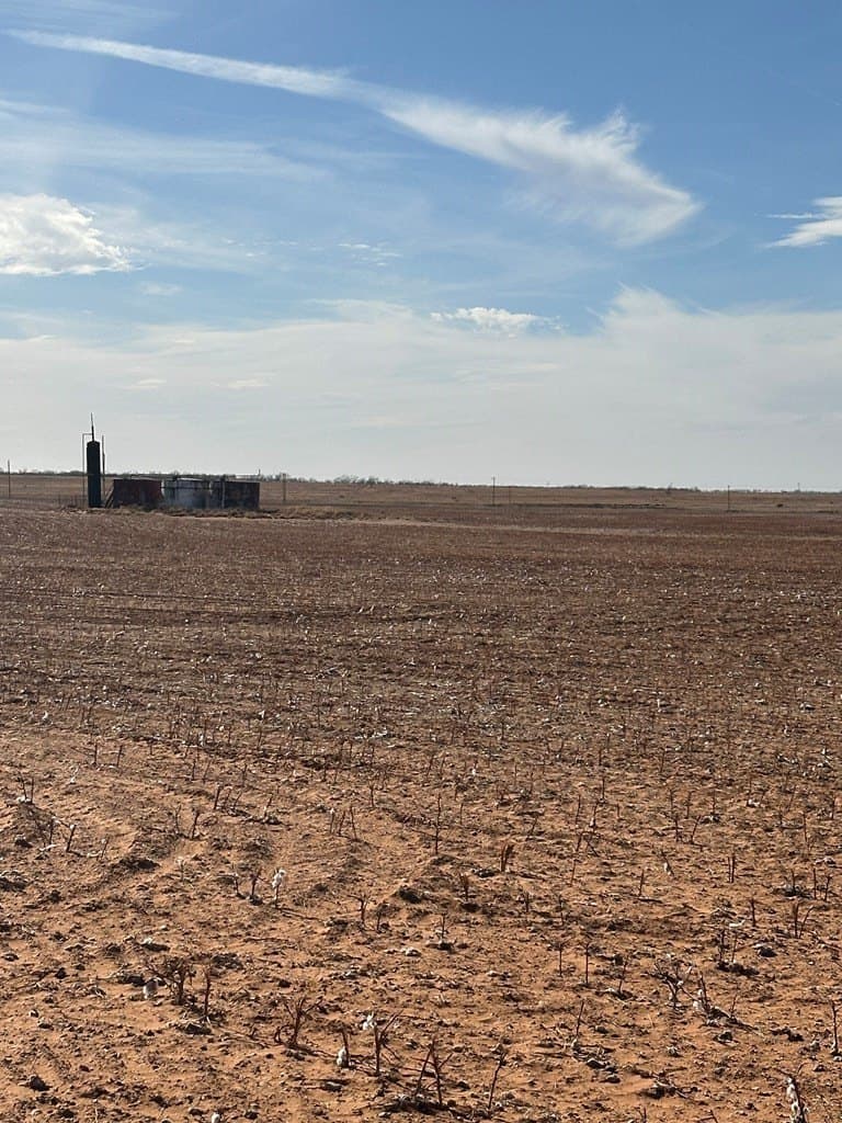 160.3 acres in Mitchell County - photo 5
