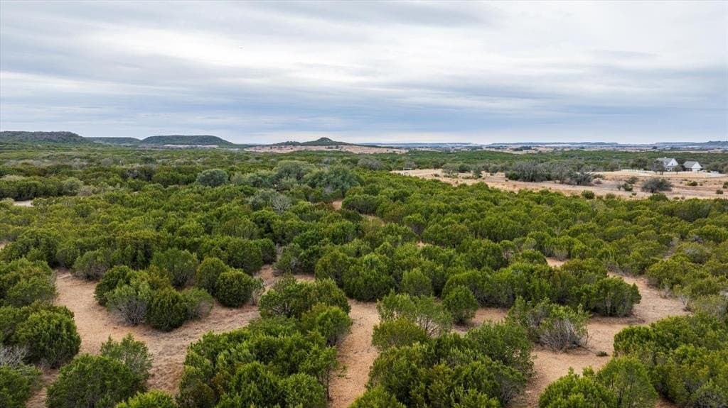 19.47 acres in Somervell County - photo 28