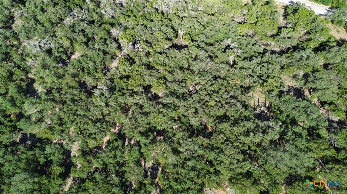 4.22 acres in Bell County - photo 6
