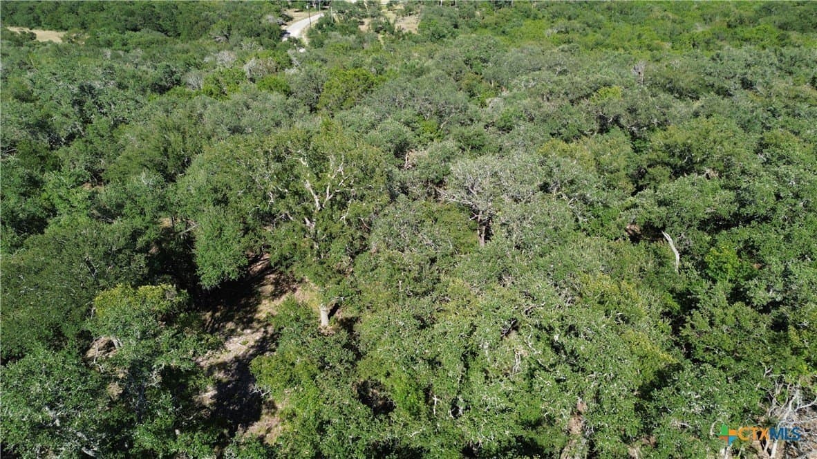4.22 acres in Bell County - photo 5