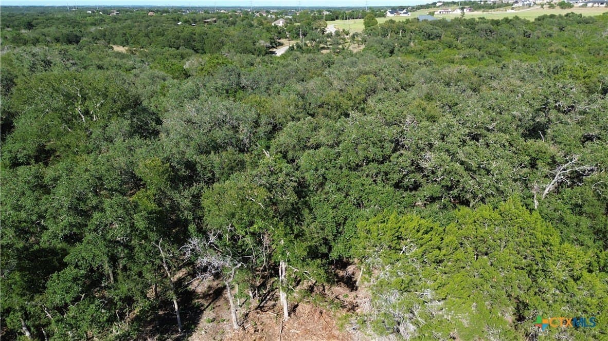 4.22 acres in Bell County - photo 3