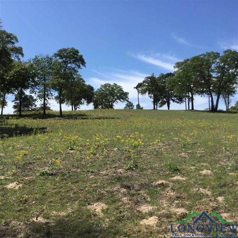 14.31 acres in Texas County - photo 3