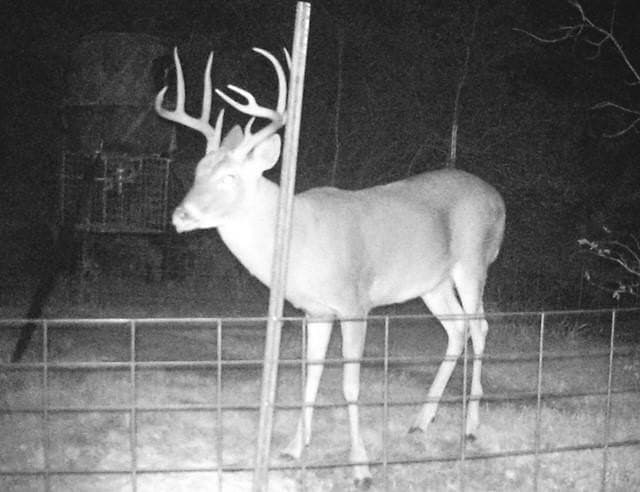 17.5 acres in Grayson County - photo 36