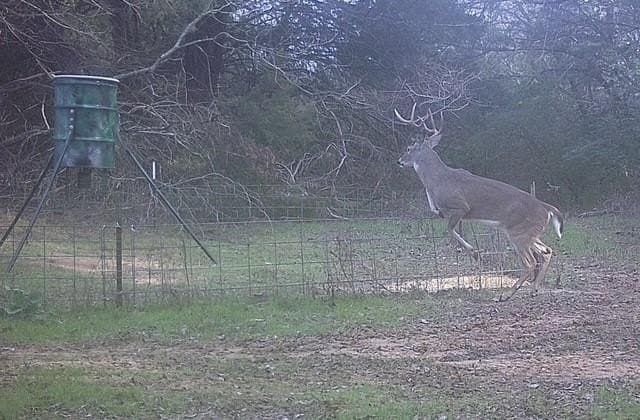 17.5 acres in Grayson County - photo 35