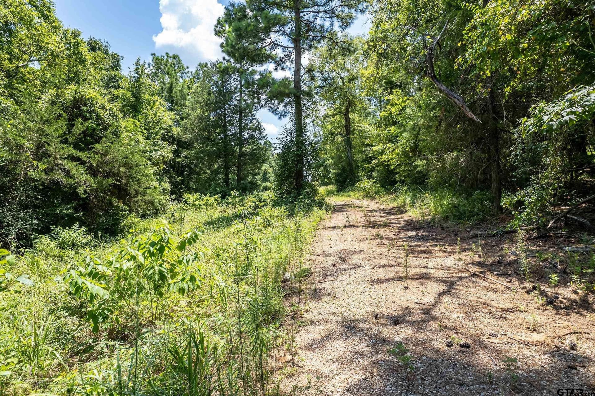 3.29 acres in Smith County - photo 5