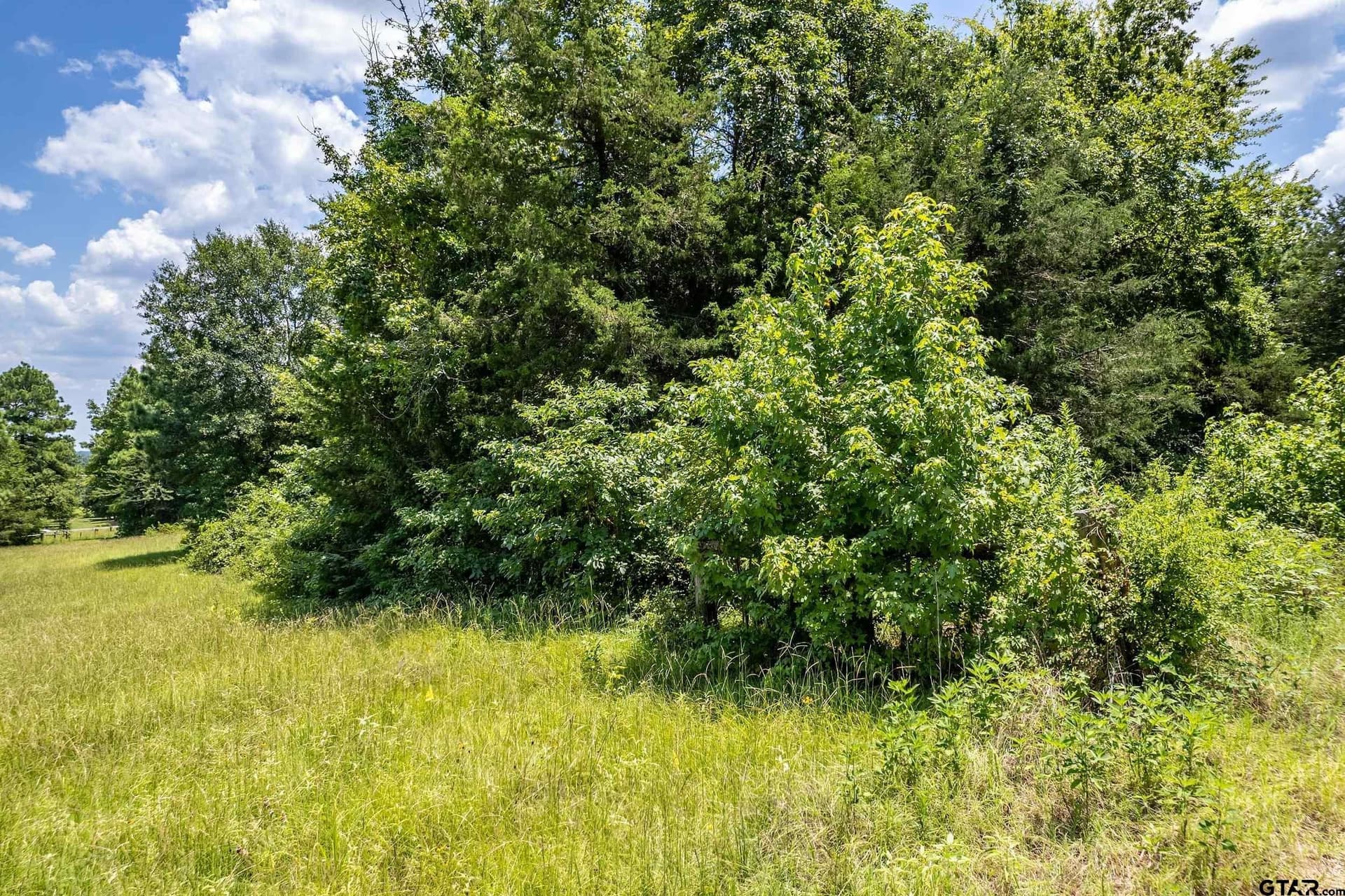3.29 acres in Smith County - photo 4