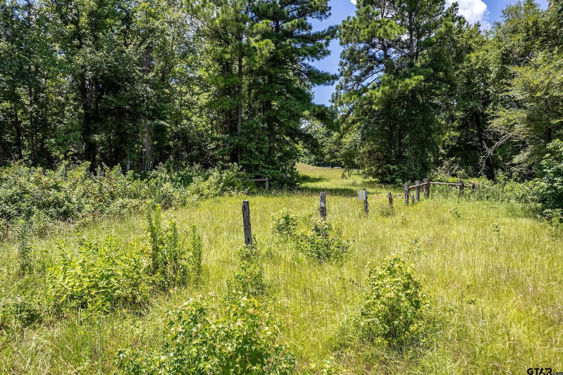 3.29 acres in Smith County - photo 2