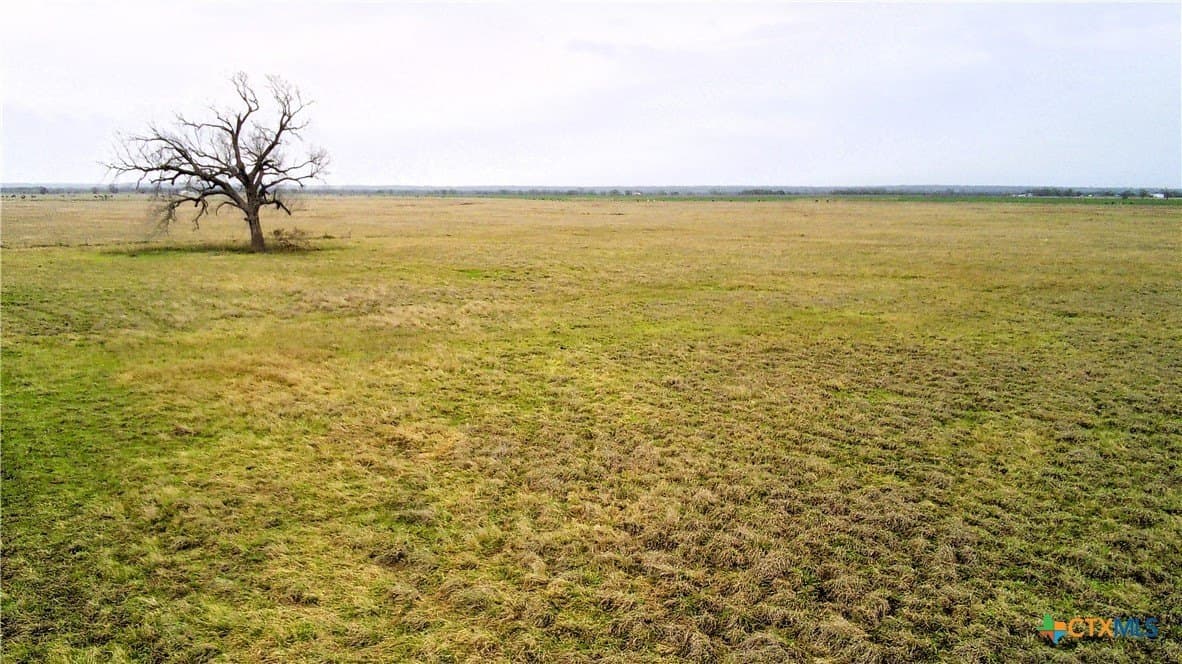 11 acres in Falls County - photo 3