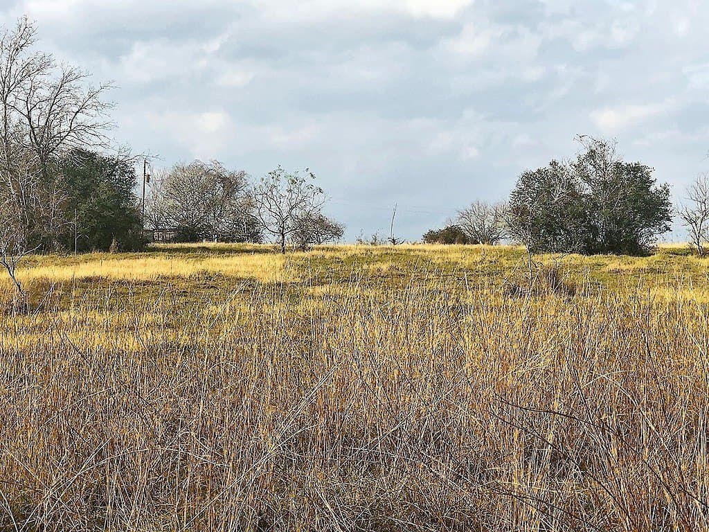35 acres in Lavaca County - photo 2