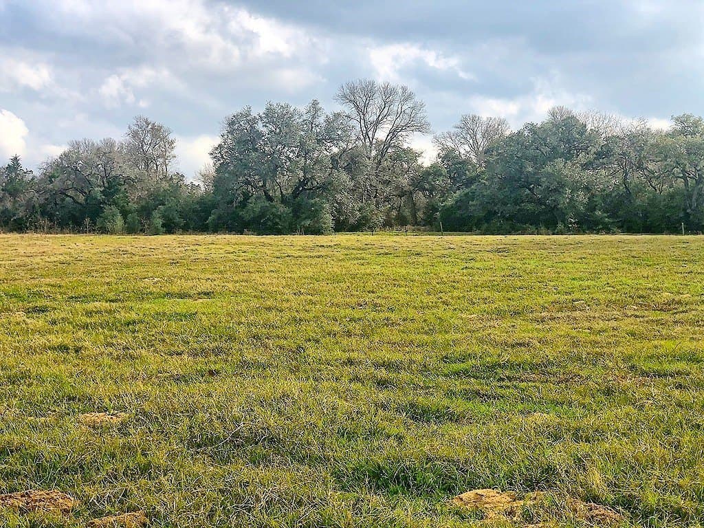 35 acres in Lavaca County - photo 3