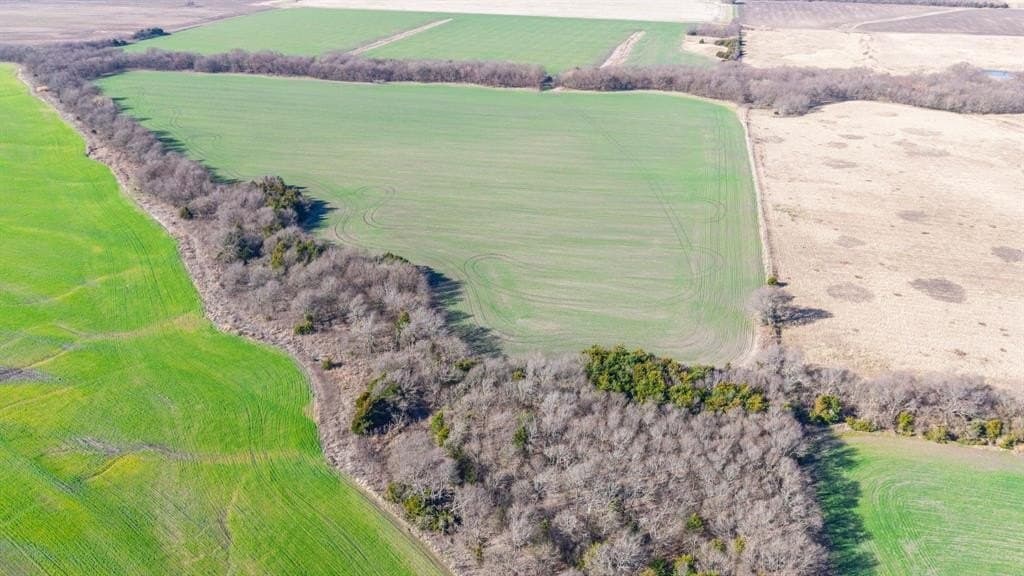 115.05 acres in Delta County - photo 36