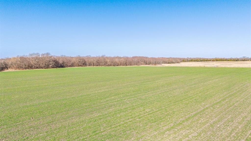 115.05 acres in Delta County - photo 10