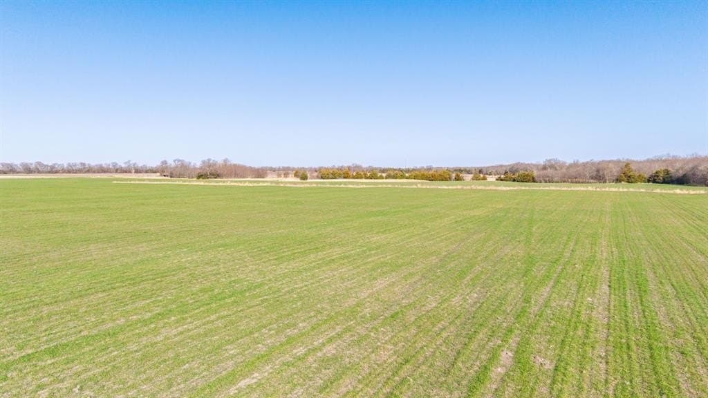 115.05 acres in Delta County - photo 13