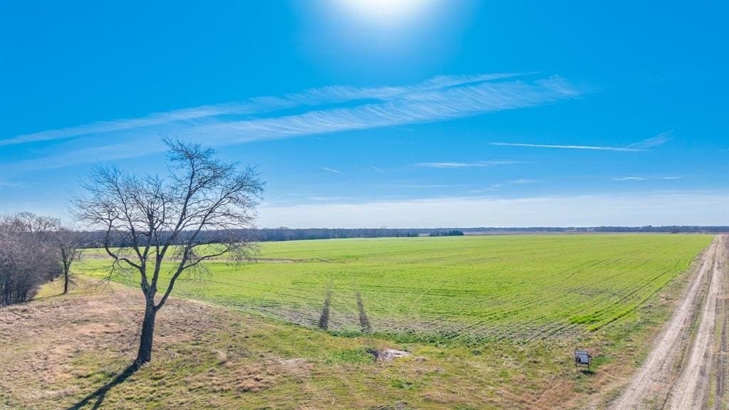 115.05 acres in Delta County - photo 38