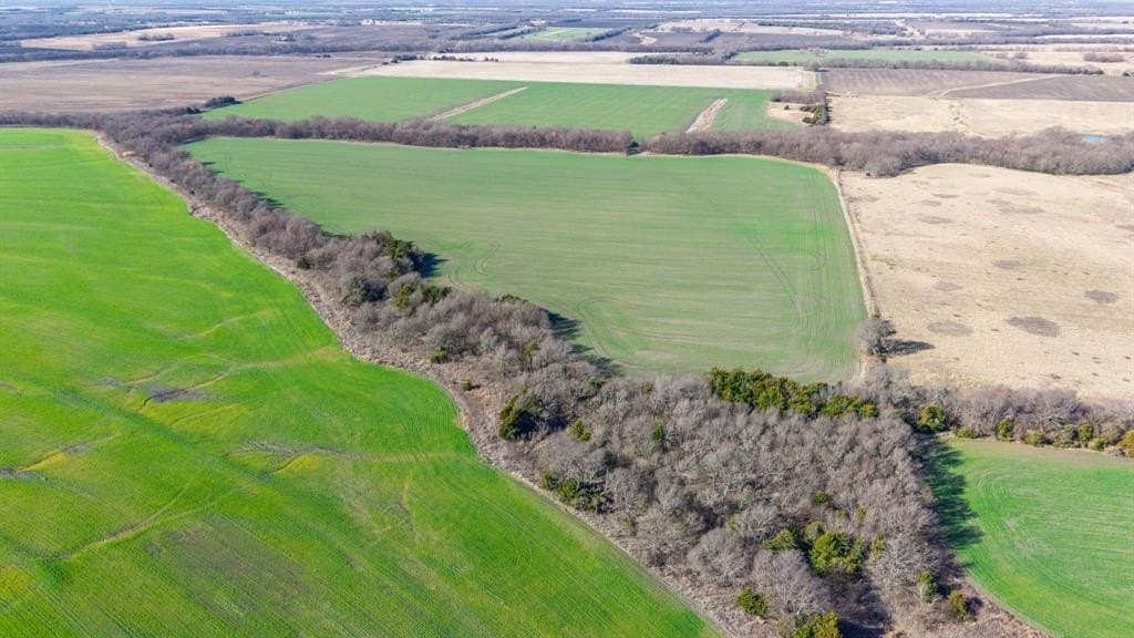115.05 acres in Delta County - photo 37