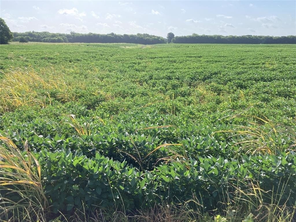 115.05 acres in Delta County - photo 3