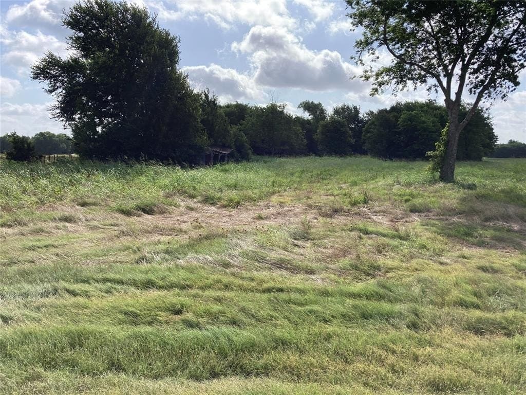 115.05 acres in Delta County - photo 4