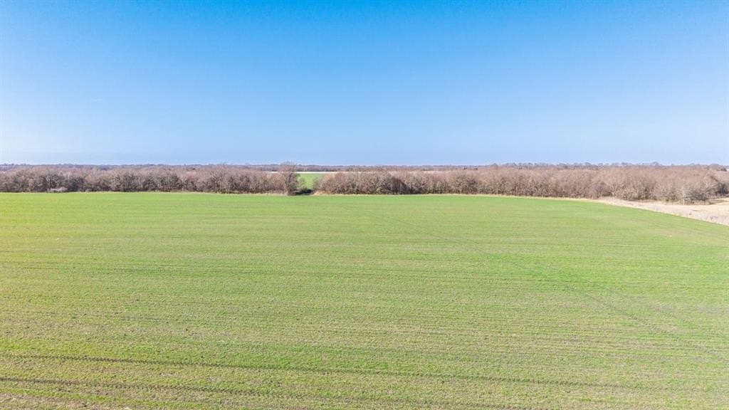 115.05 acres in Delta County - photo 11