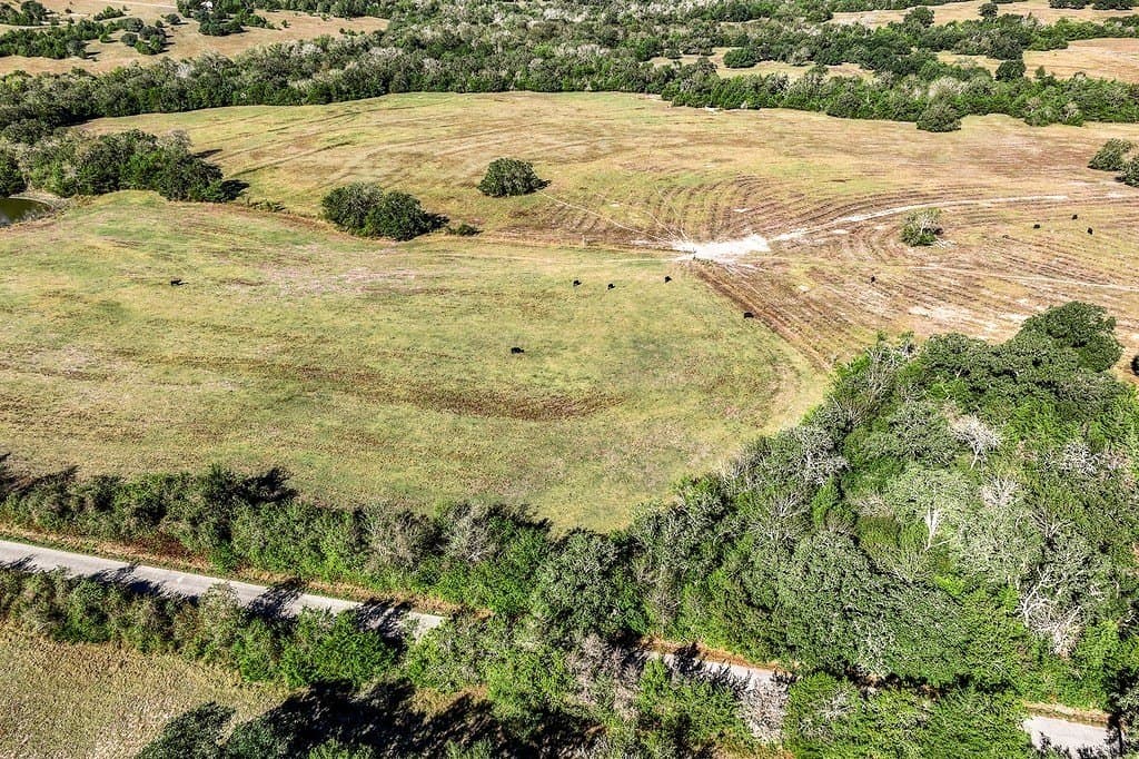 10 acres in Washington County - photo 4