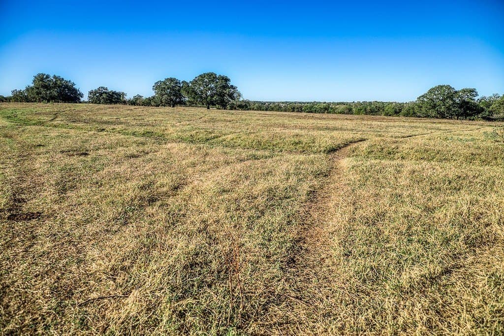 10 acres in Washington County - photo 9