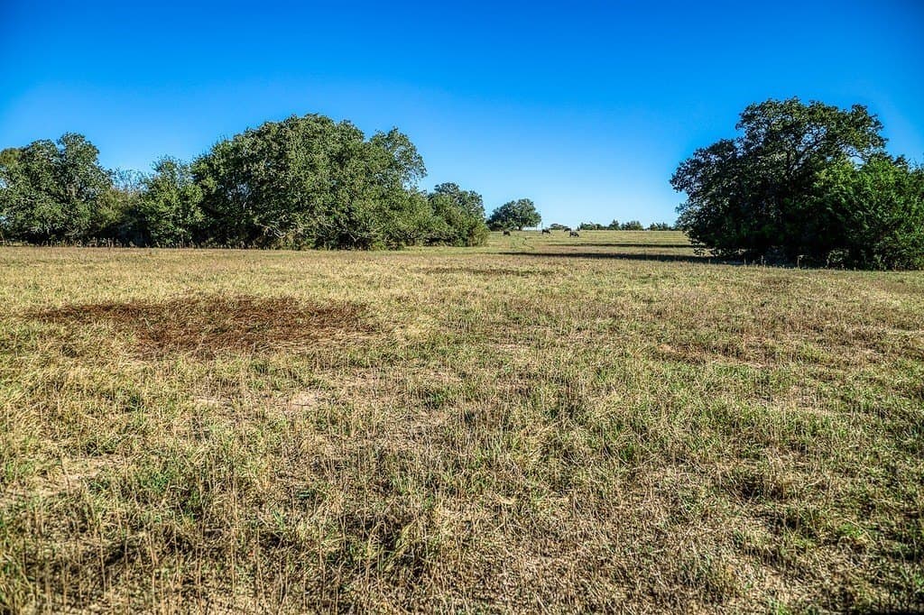 10 acres in Washington County - photo 6