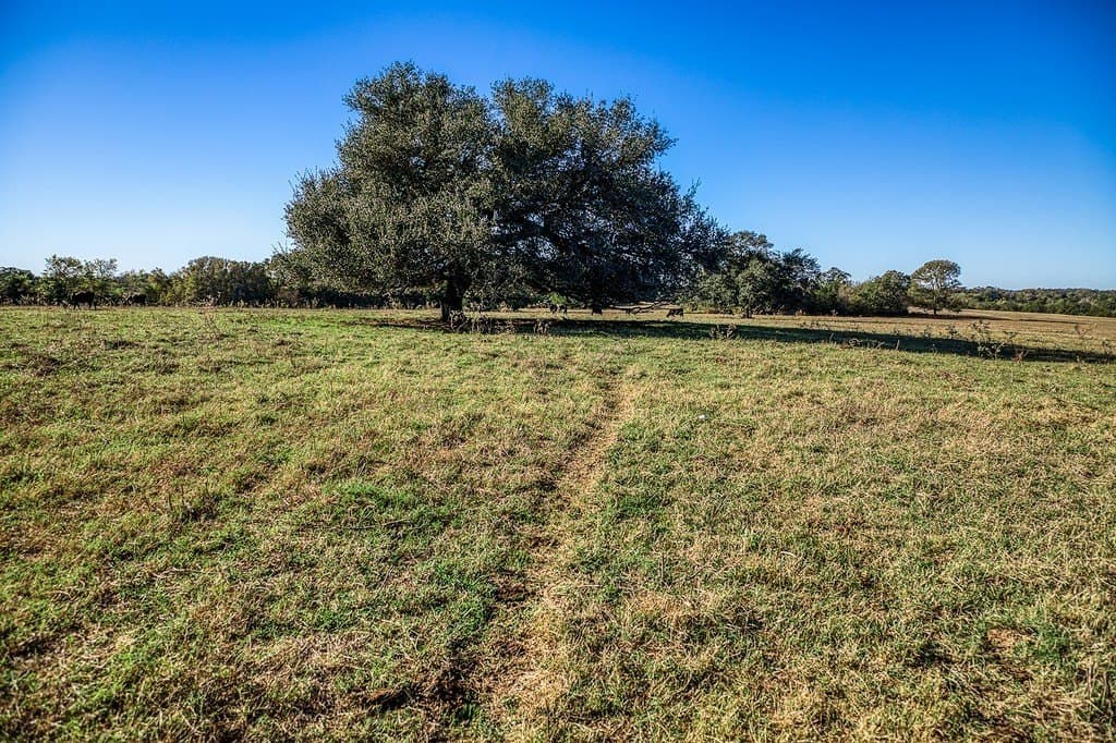 10 acres in Washington County - photo 5