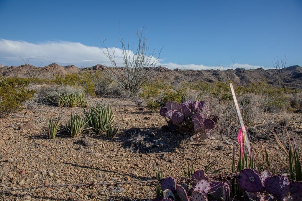 10.77 acres in Brewster County - photo 12