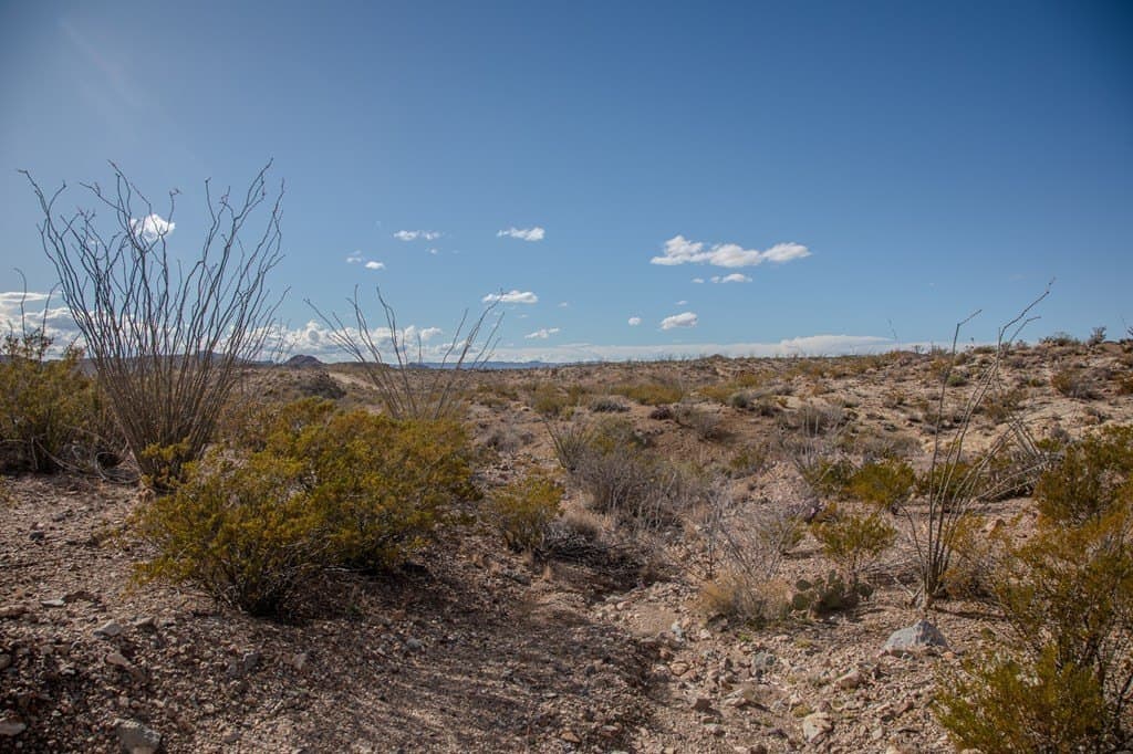 10.77 acres in Brewster County - photo 31