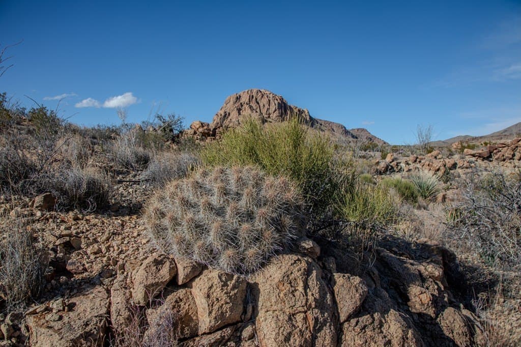 10.77 acres in Brewster County - photo 20