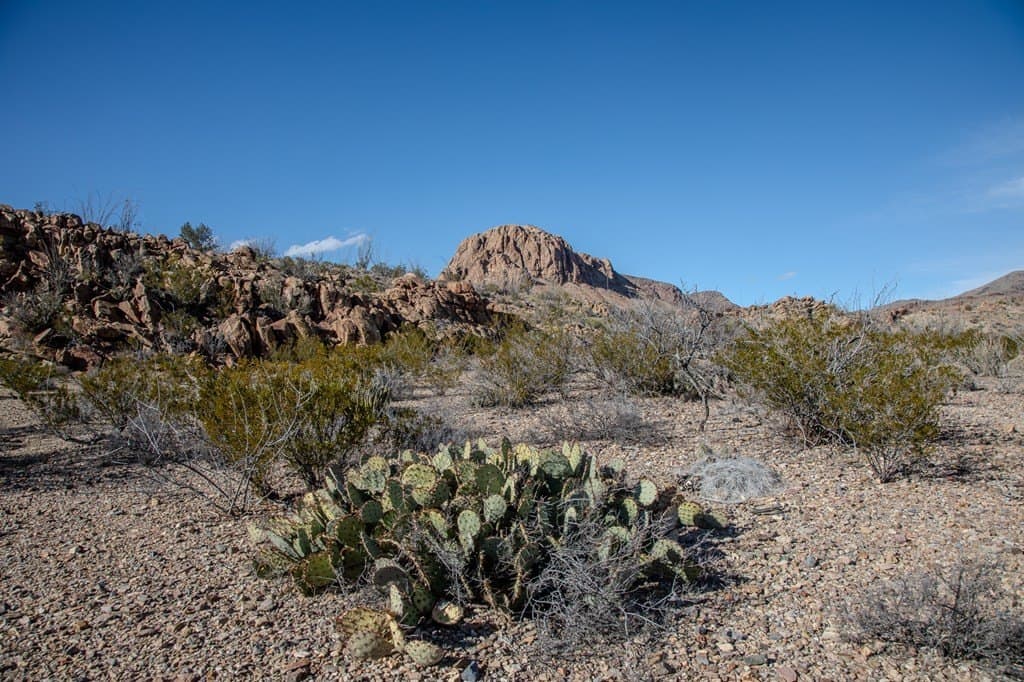 10.77 acres in Brewster County - photo 18