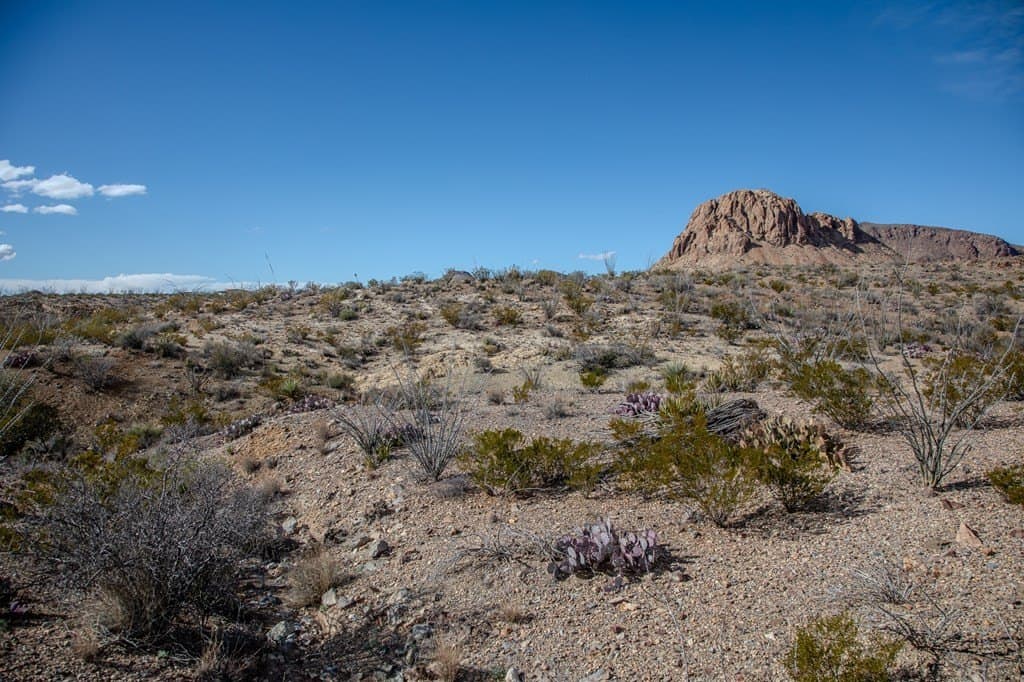 10.77 acres in Brewster County - photo 30