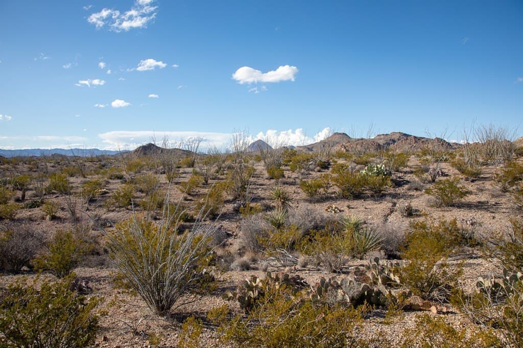 10.77 acres in Brewster County - photo 5