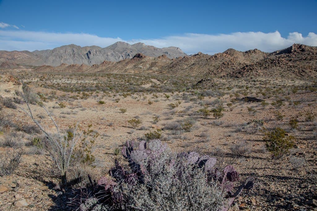 10.77 acres in Brewster County - photo 7