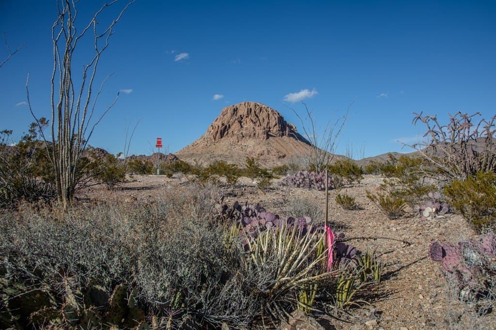 10.77 acres in Brewster County - photo 11