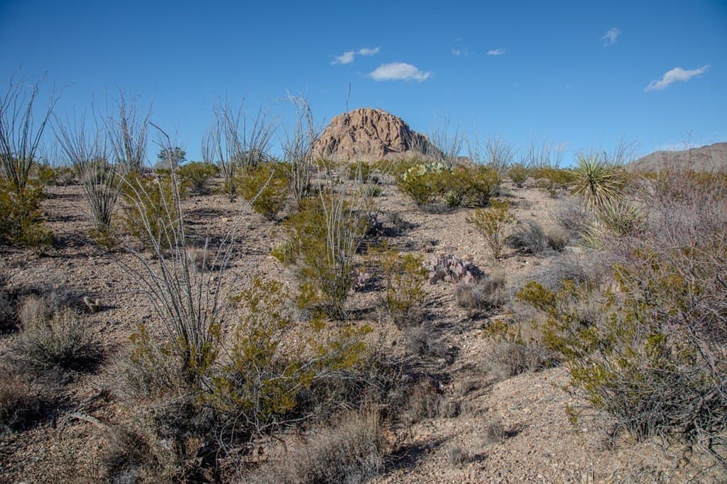10.77 acres in Brewster County - photo 6