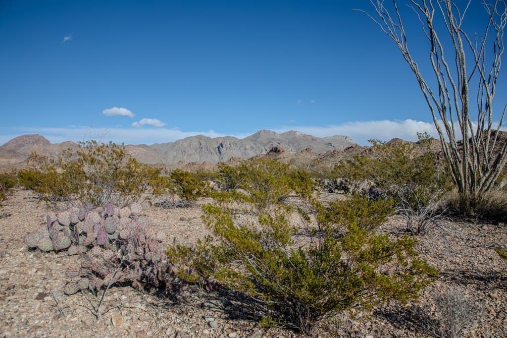 10.77 acres in Brewster County - photo 2