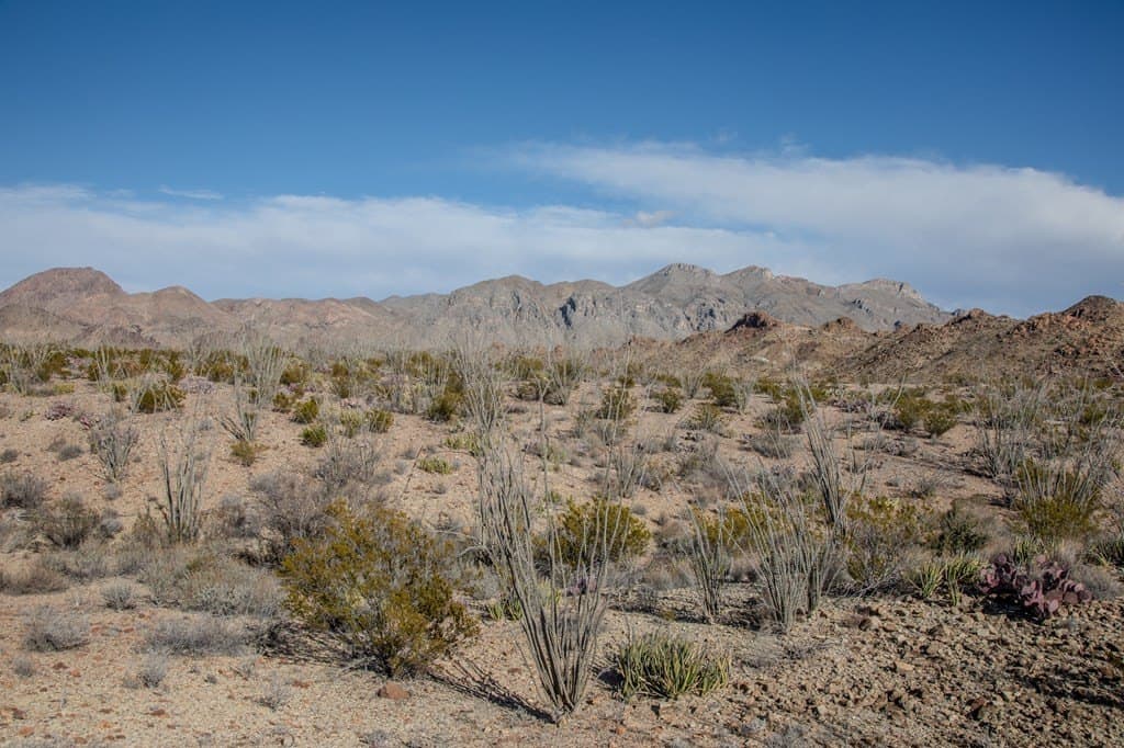 10.77 acres in Brewster County - photo 14
