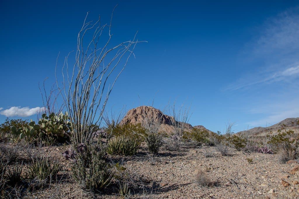 10.77 acres in Brewster County - photo 24