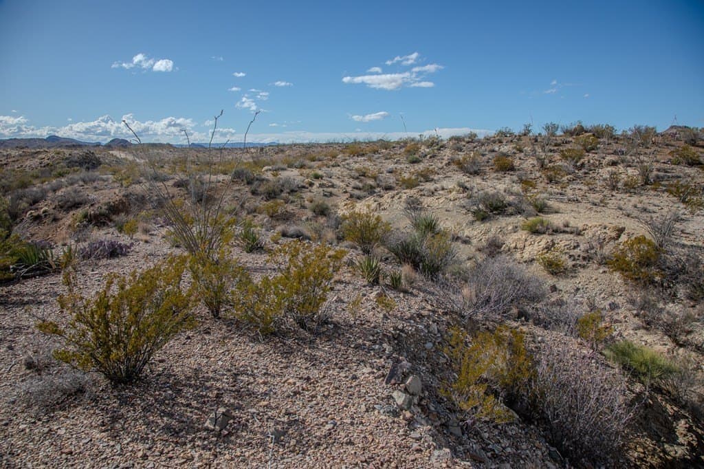 10.77 acres in Brewster County - photo 28