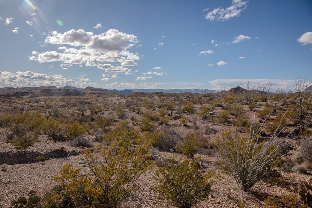 10.77 acres in Brewster County - photo 4
