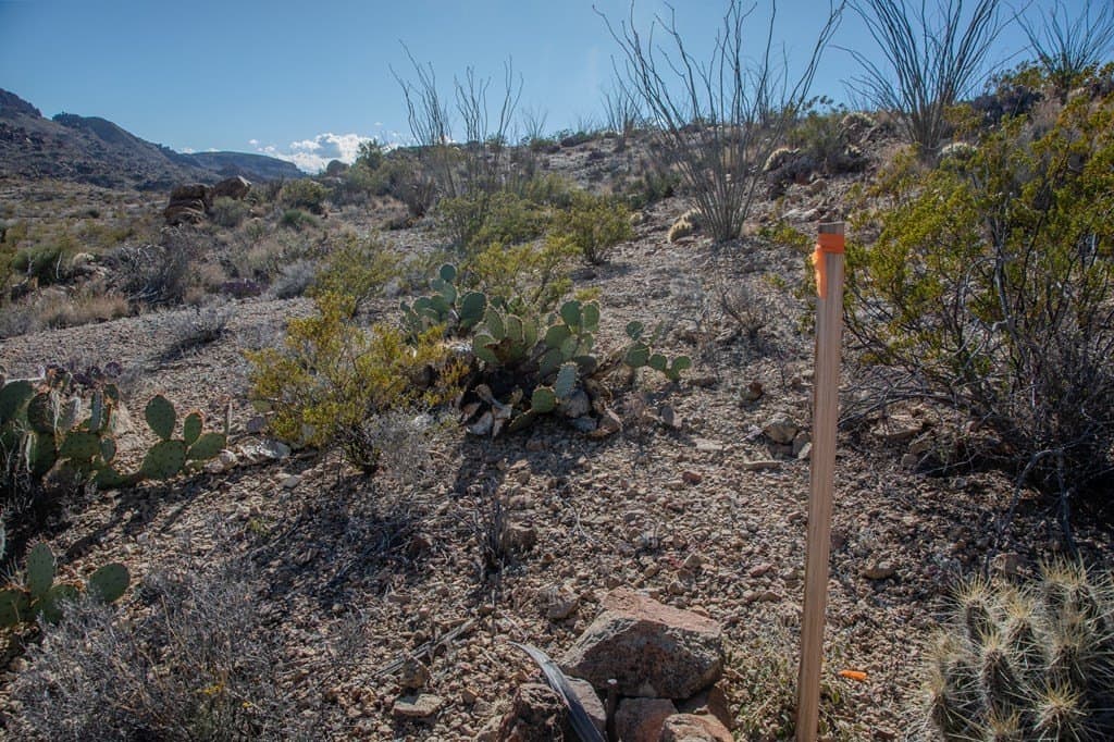 10.77 acres in Brewster County - photo 21