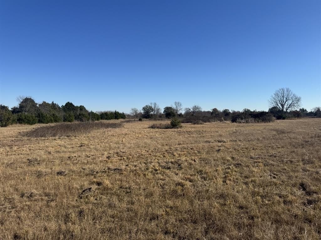 11 acres in Lamar County - photo 7