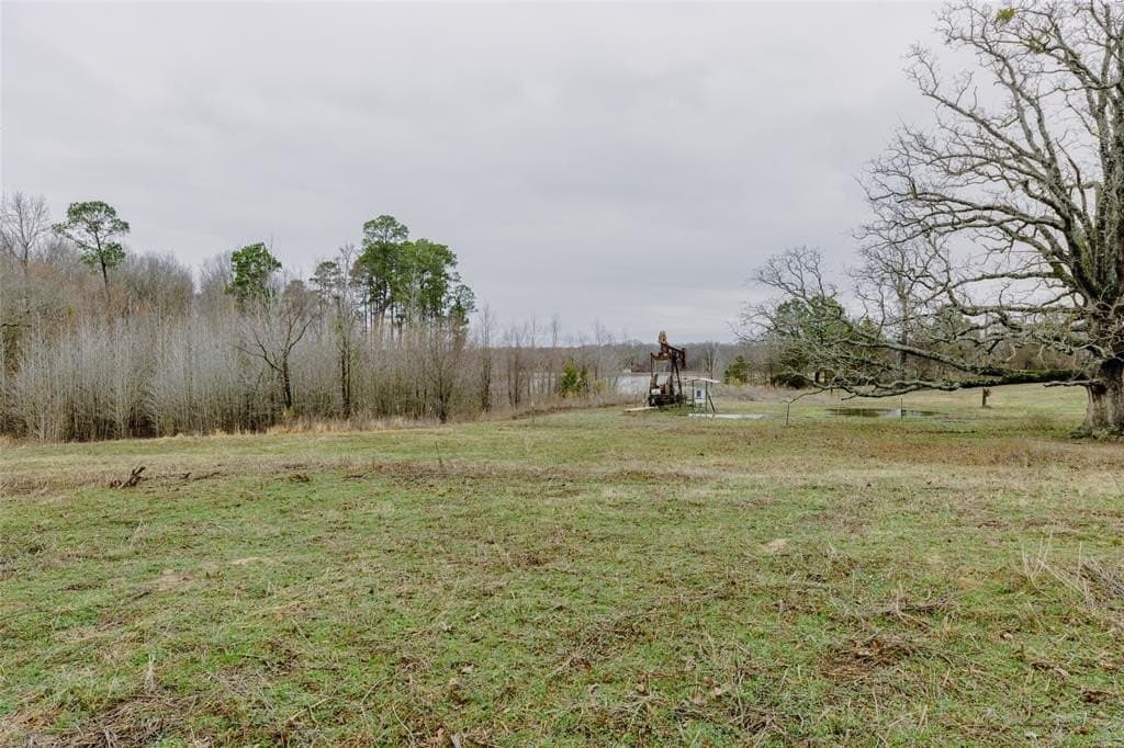 13.2 acres in Wood County - photo 10
