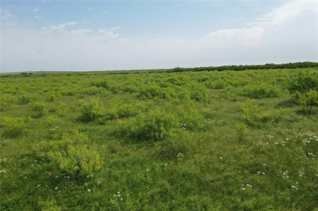 190.87 acres in Clay County - photo 16