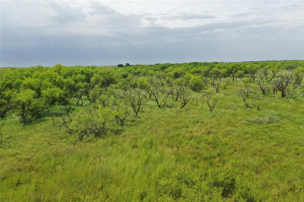 190.87 acres in Clay County - photo 15