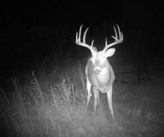 190.87 acres in Clay County - photo 28