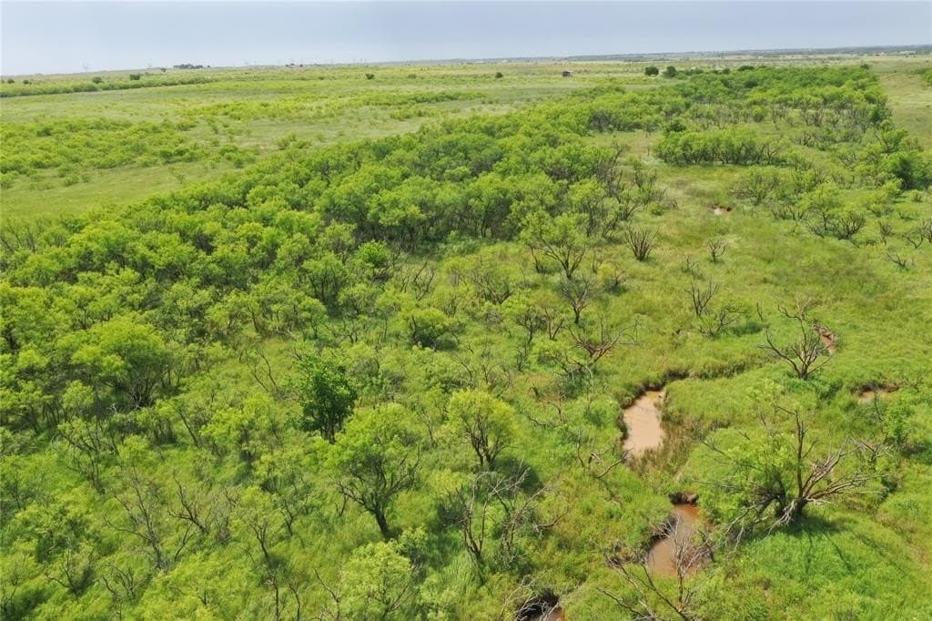190.87 acres in Clay County - photo 14