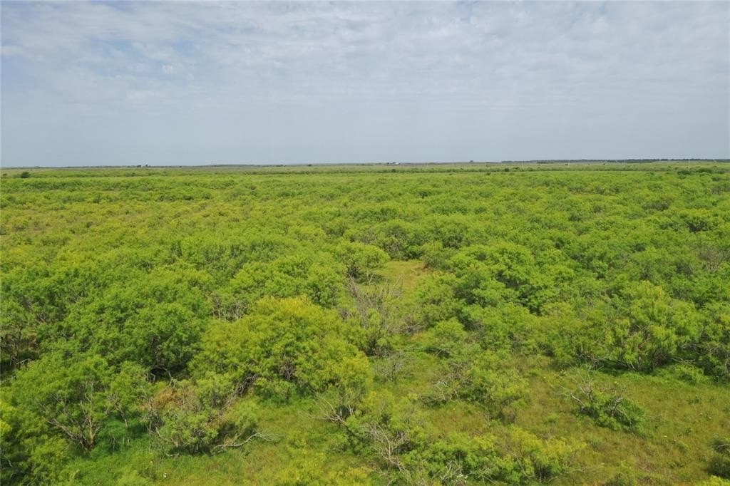 190.87 acres in Clay County - photo 5