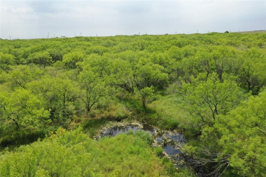 190.87 acres in Clay County - photo 7